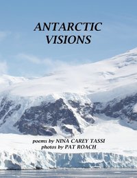 bokomslag Antarctic Visions