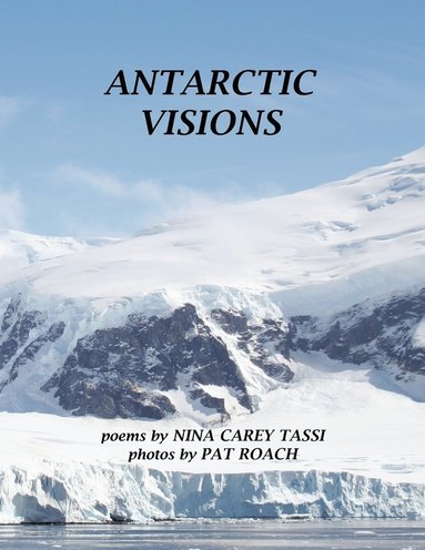 bokomslag Antarctic Visions