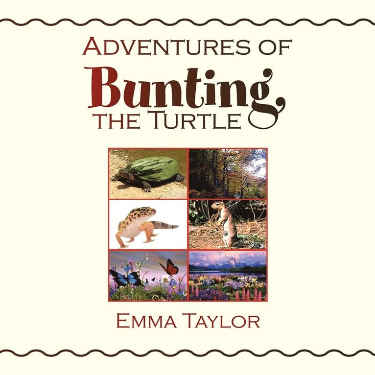 Adventures of Bunting, the Turtle 1