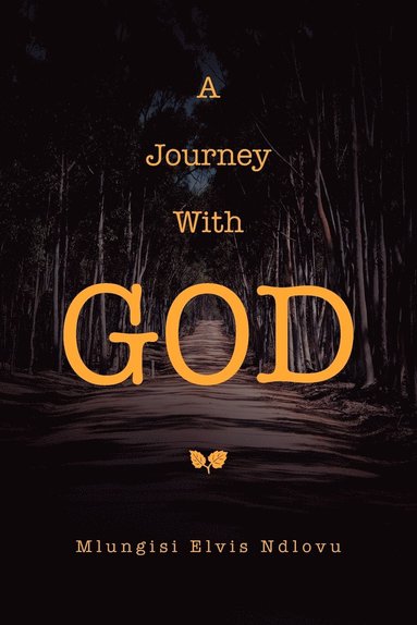 bokomslag A Journey With God