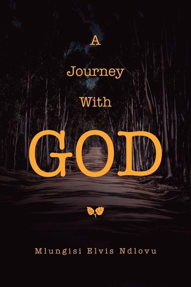 bokomslag Journey With God