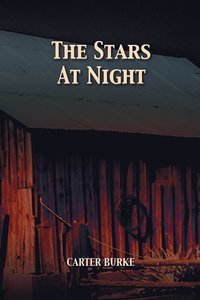 bokomslag Stars at Night
