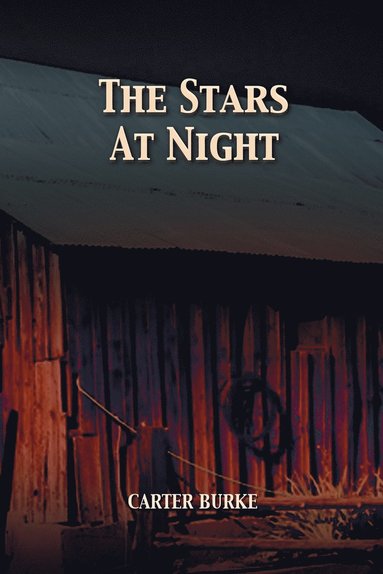 bokomslag Stars at Night