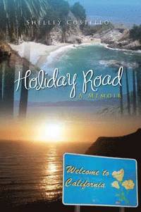 bokomslag Holiday Road