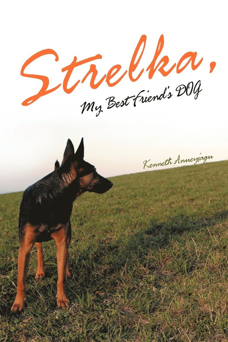 Strelka, My Best Friend's Dog 1