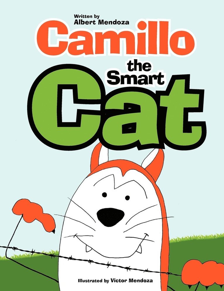 Camillo the Smart Cat 1