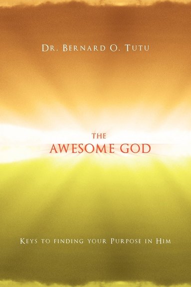 bokomslag Awesome God