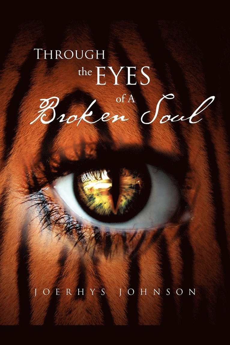 Joerhys Johnson, JoeRhys Johnson - Through the Eyes of A Broken Soul, Häftad