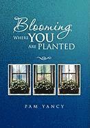 bokomslag Blooming Where You Are Planted