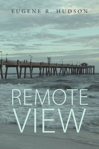 bokomslag Remote View