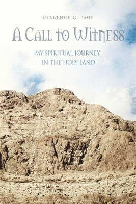 bokomslag Call to Witness