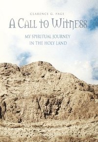 bokomslag Call to Witness