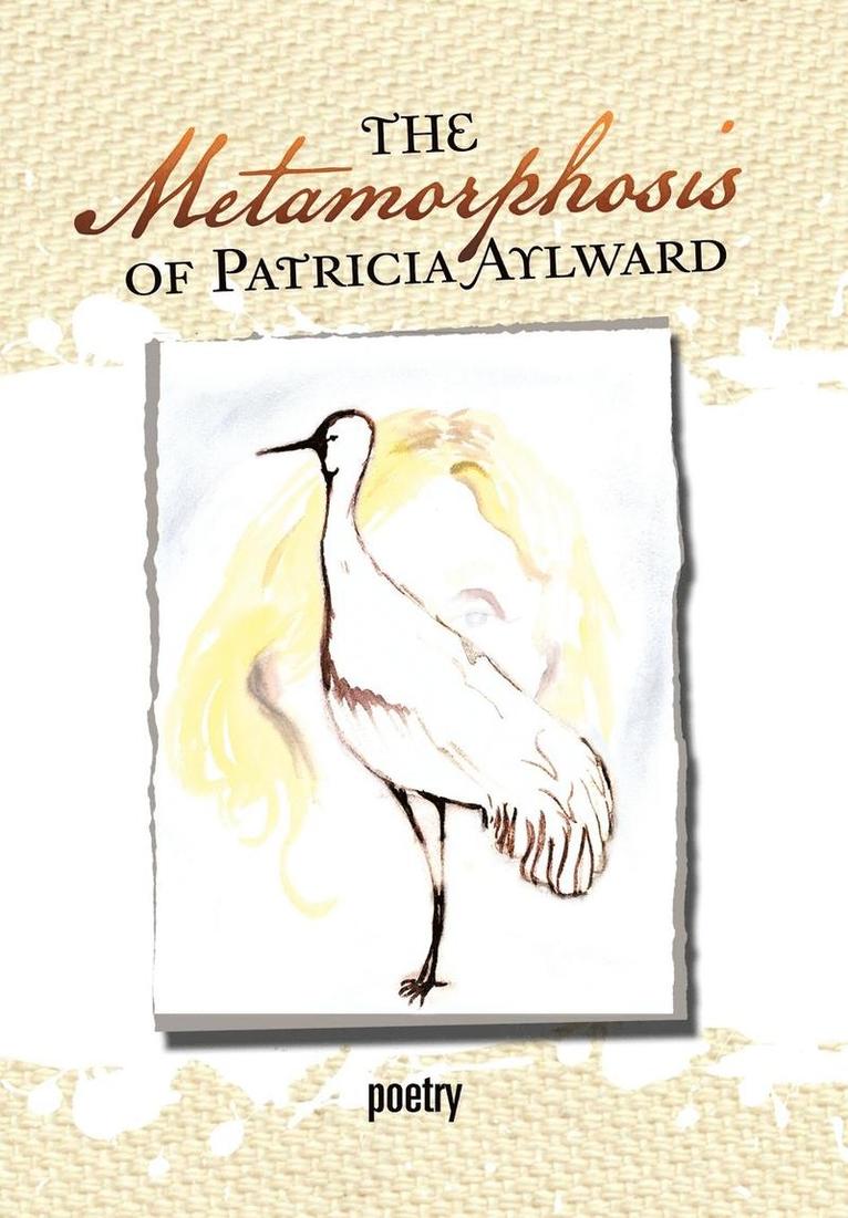 The Metamorphosis of Patricia Aylward 1