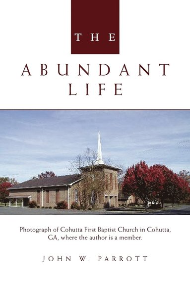 bokomslag The Abundant Life