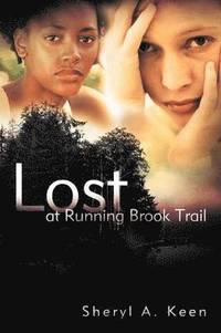 bokomslag Lost at Running Brook Trail