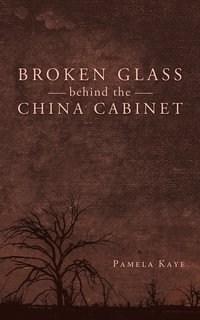 bokomslag Broken Glass Behind the China Cabinet
