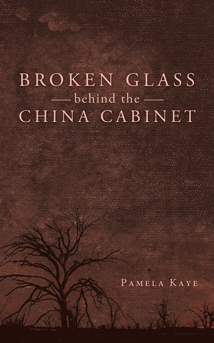 Pamela Kaye - Broken Glass Behind the China Cabinet, Häftad