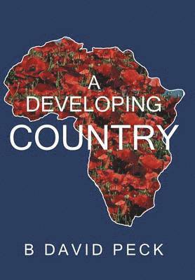 bokomslag A Developing Country