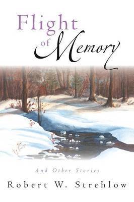 bokomslag Flight of Memory