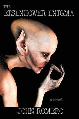 Eisenhower Enigma