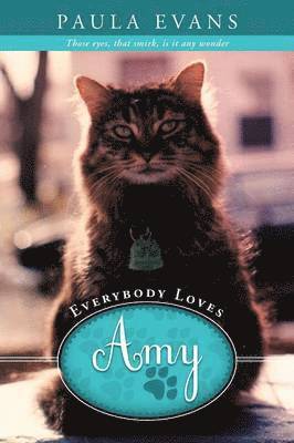 Everybody Loves Amy 1