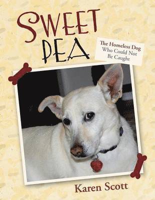 Sweet Pea 1