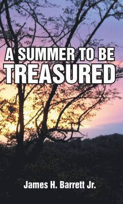 A Summer to Be Treasured 1