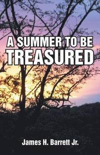 bokomslag A Summer to Be Treasured