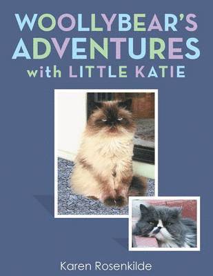 bokomslag Woollybear's Adventures with Little Katie