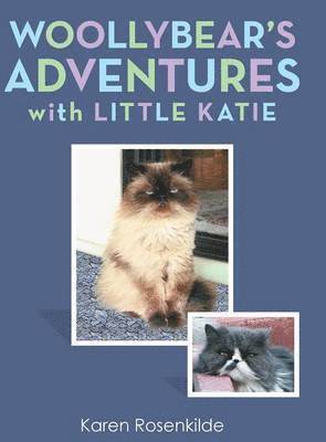 bokomslag Woollybear's Adventures with Little Katie