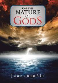 bokomslag On the Nature of Gods