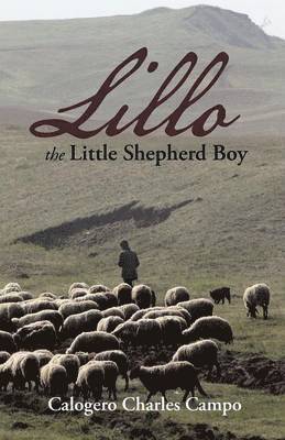 bokomslag Lillo the Little Shepherd Boy