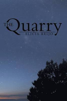 The Quarry 1