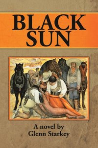 bokomslag Black Sun