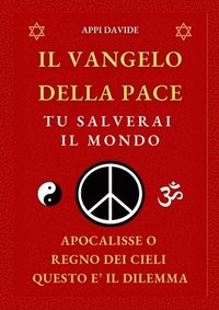 bokomslag Il Vangelo Della Pace