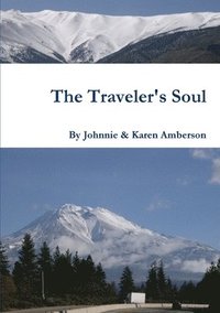 bokomslag The Traveler's Soul