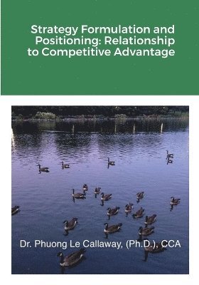 Strategy Formulation and Positioning