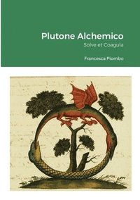 bokomslag Plutone Alchemico