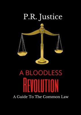 bokomslag Bloodless Revolution
