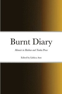 bokomslag Burnt Diary