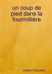 bokomslag un coup de pied dans la fourmillière