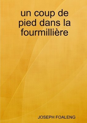 bokomslag un coup de pied dans la fourmillière