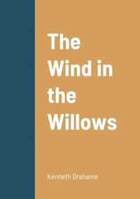 bokomslag Wind in the Willows