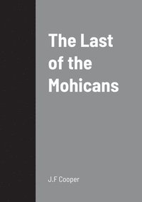 bokomslag The Last of the Mohicans