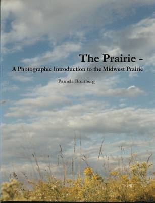 Prairie - A Photographic Introduction to the Midwest Prairie
