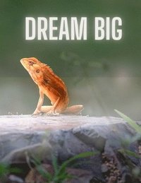 bokomslag Dream Big Notebook