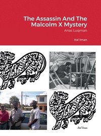 bokomslag The Assassin And The Malcolm X Mystery