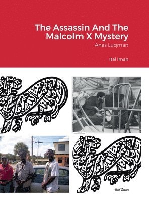 The Assassin And The Malcolm X Mystery 1