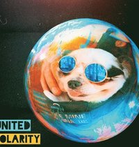 bokomslag United Polarity