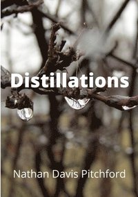 bokomslag Distillations from the Storms of Life